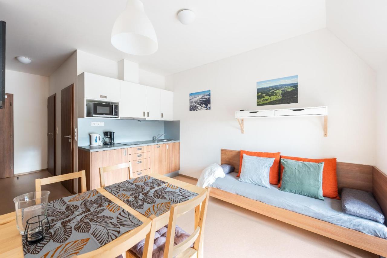 Apartmany Rokytka Snowhouse Rokytnice nad Jizerou Εξωτερικό φωτογραφία